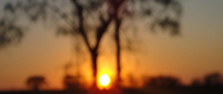 o que você esta vendo