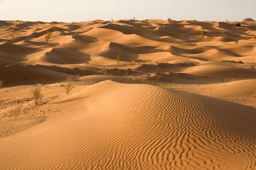 mundo deserto e reino